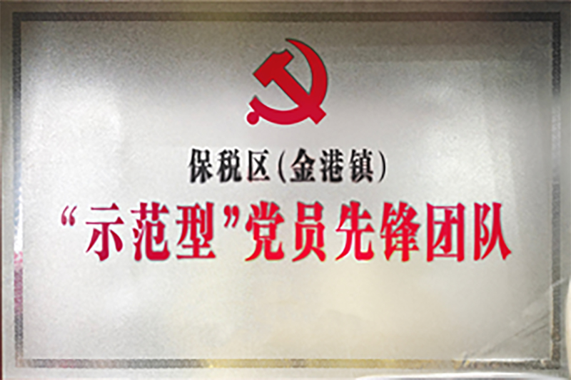 保税区(金港镇)示范型党员先锋团队